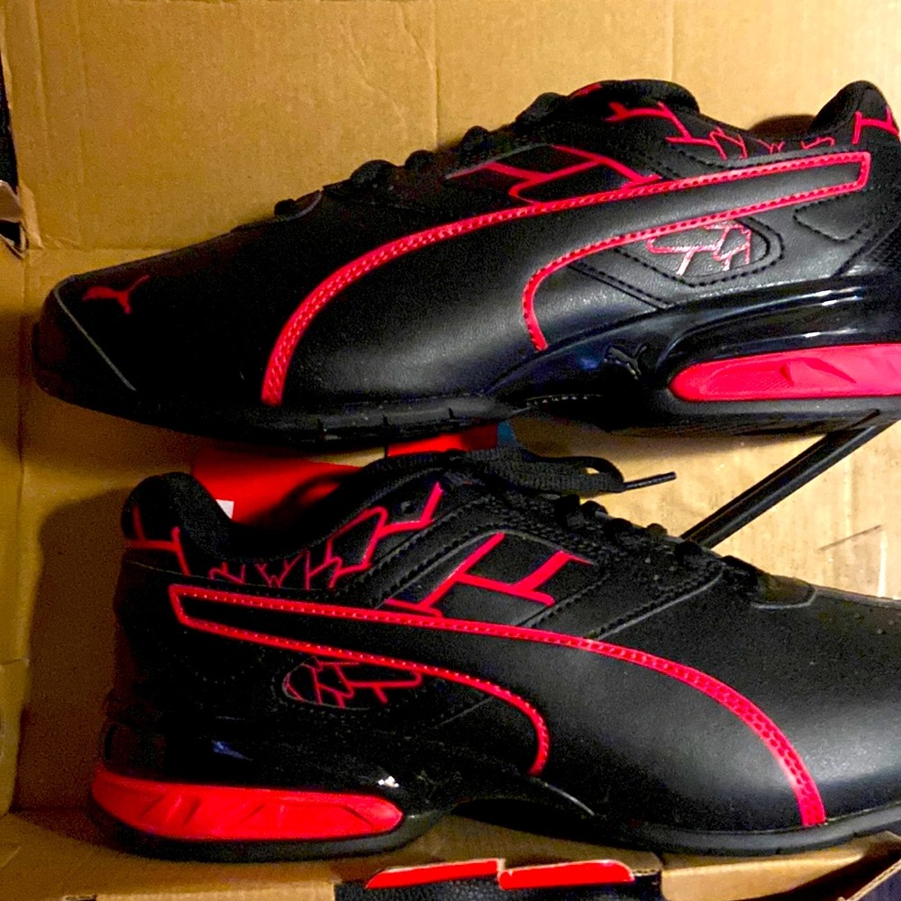 Pumas